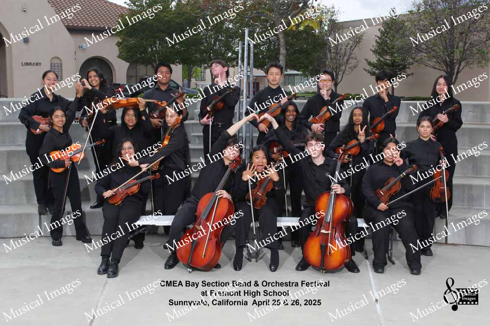 Musical Images